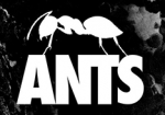 ants