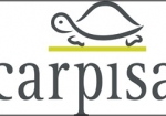 carpisa