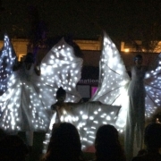 Farfalleluminose
